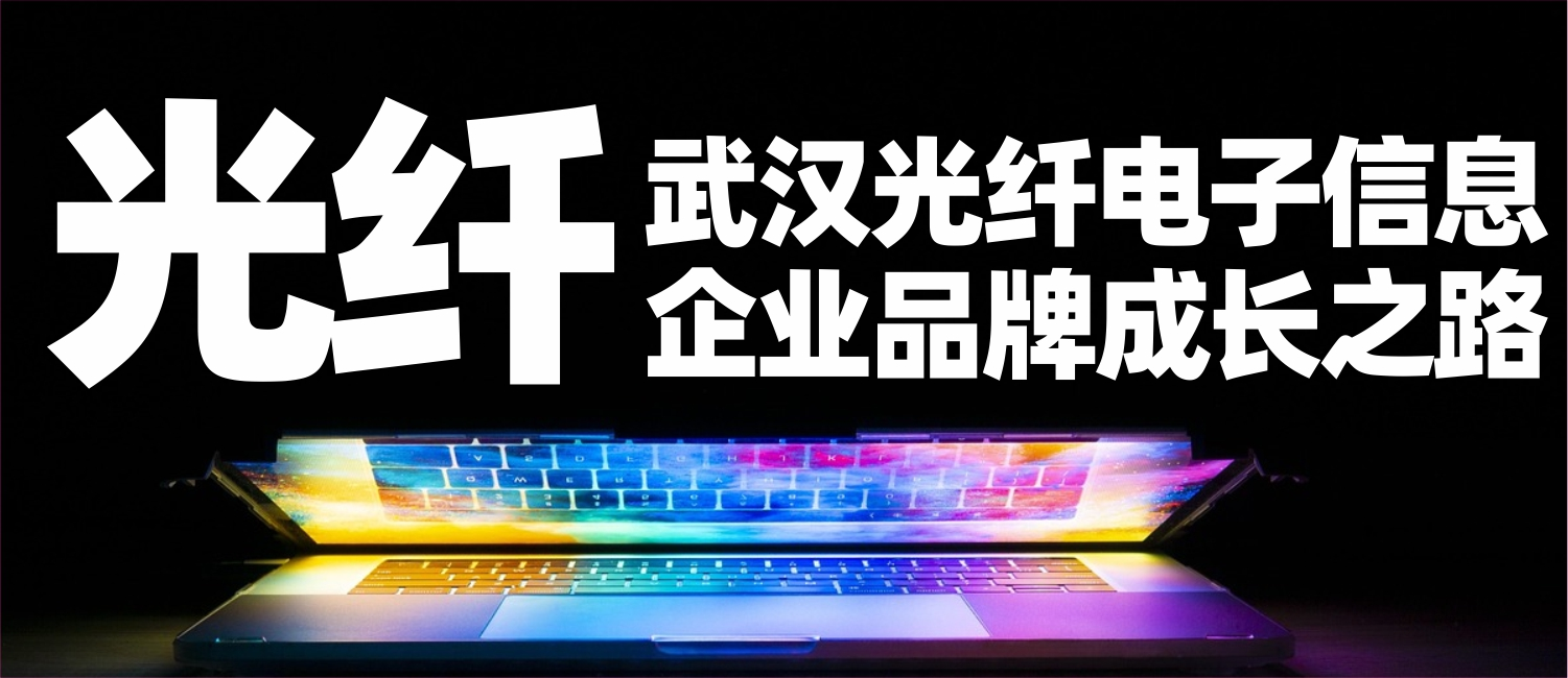 信立浩达：武汉光纤电子信息品牌成长之路（上）