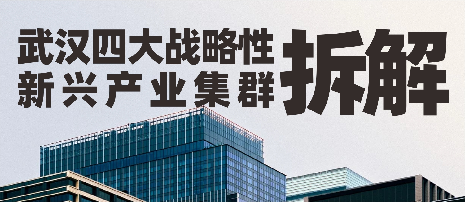 信立浩达：国家种出来的品牌——武汉四大战略性新兴产业集群拆解